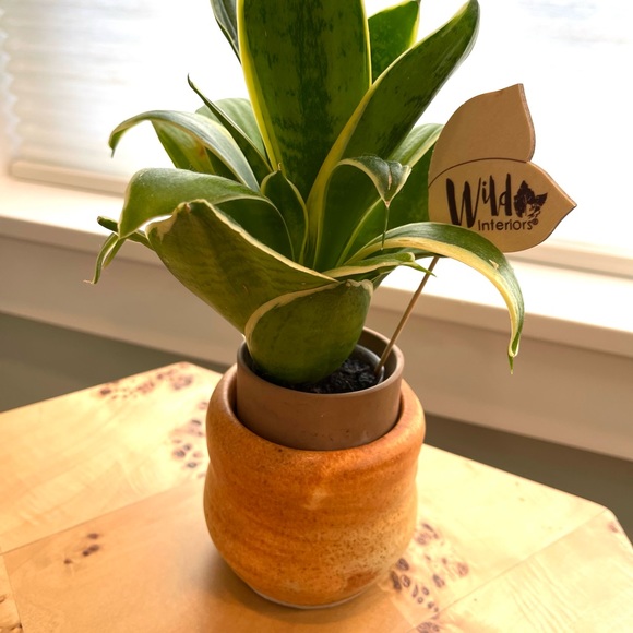 Last price NEW handmade planter or vase, one of a kind! - Picture 2 of 6